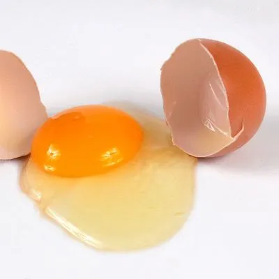thumbnail for publication: Concepts of Eggshell Quality